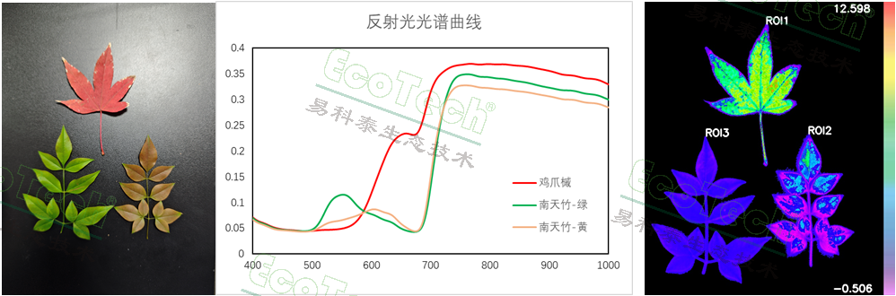 ��ҳ| ����֮��hy590���¹ٷ���վ