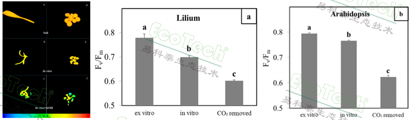 ��ҳ| ����֮��hy590���¹ٷ���վ