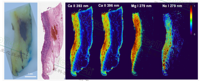 ��ҳ| ����֮��hy590���¹ٷ���վ