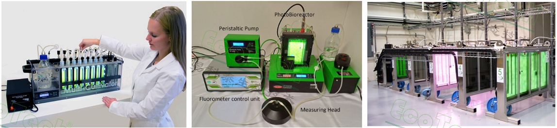 首页| 海洋之神hy590最新官方网站