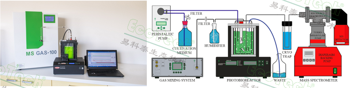 首页| 海洋之神hy590最新官方网站