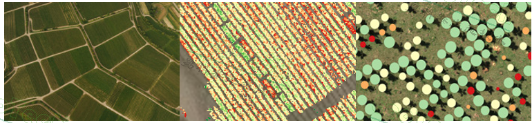 ��ҳ| ����֮��hy590���¹ٷ���վ