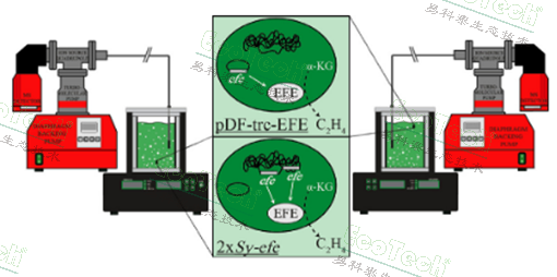 ��ҳ| ����֮��hy590���¹ٷ���վ