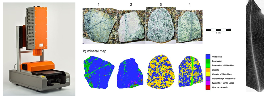 ����֮��590���������о��о�壩ɨ����������