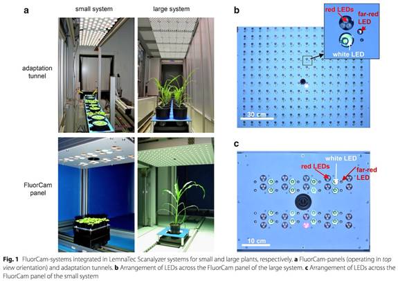 ../../../��Ʒ����/ӫ������/PSI/Phenotyping/�ο�����/PlantScreen�ο�����/IPK-2017/0101��sm.jpg