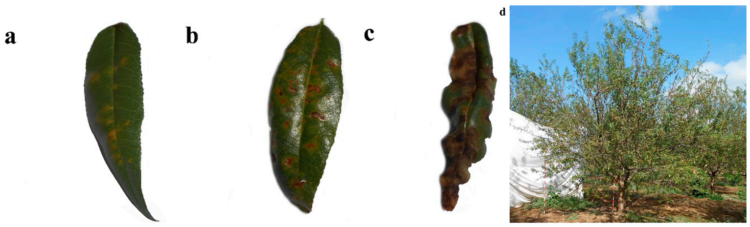 ΢ÐŽØÍ¼_20211217155333.png ΢ÐŽØÍ¼_20211217155333.png