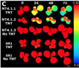 PhenoTron?���ӻ����ۺϼ��ϵͳ