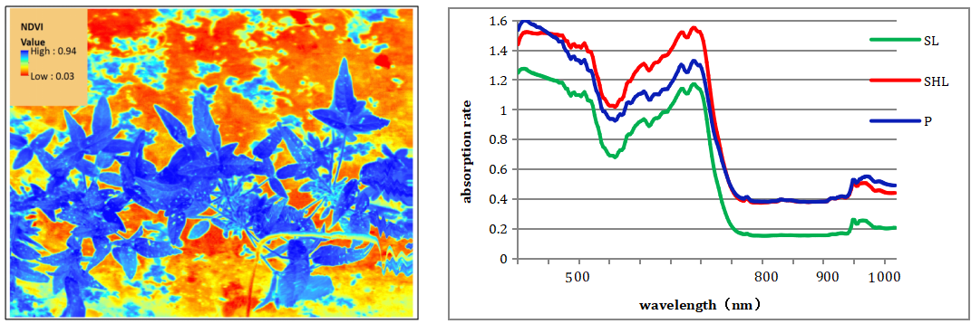 ΢ÐŽØÍ¼_20210804170134.png ΢ÐŽØÍ¼_20210804170134.png