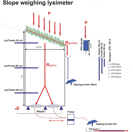 UGT�µ�������