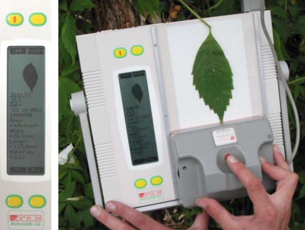 AM350��ЯʽҶ�����