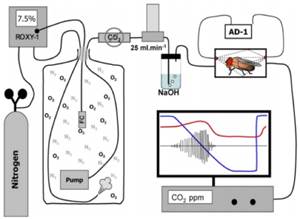 Macintosh HD:Users:cqyu:Desktop:Ecotech-Suppliers:����:Sablesys.com:Reference:������޼�׵����:��Ӭ����:ͼƬ:��Ӭ�������˶�.jpg