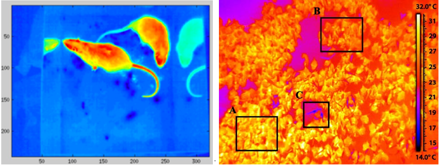 微信截图_20220301145907.png 微信截图_20220301145907.png