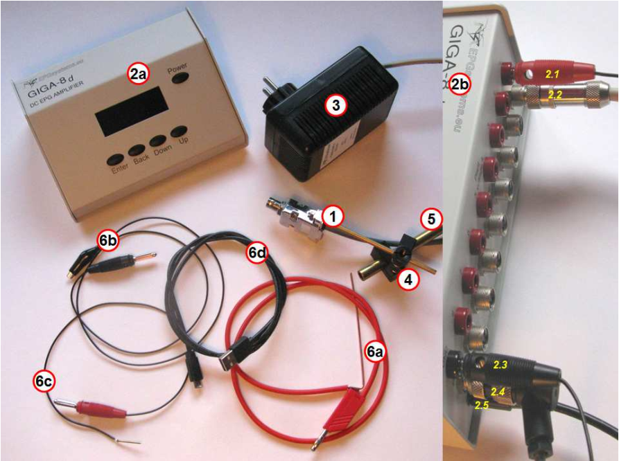 ��ͨ��EPG�����