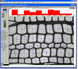 WinCELLľ��ϸ����������