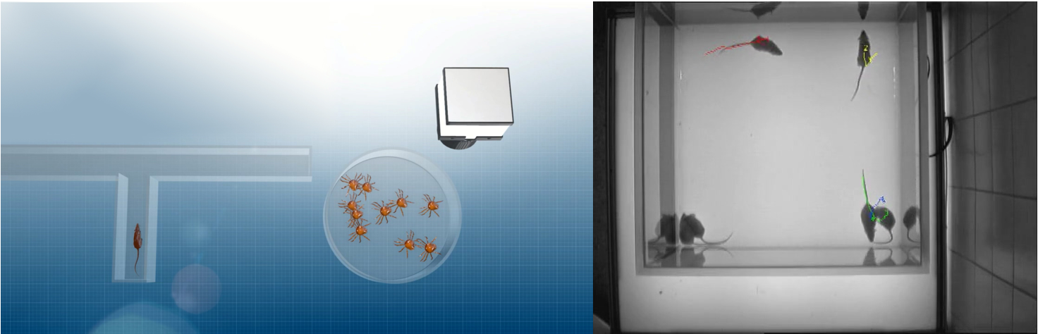 微信截图_20220301142506.png 微信截图_20220301142506.png