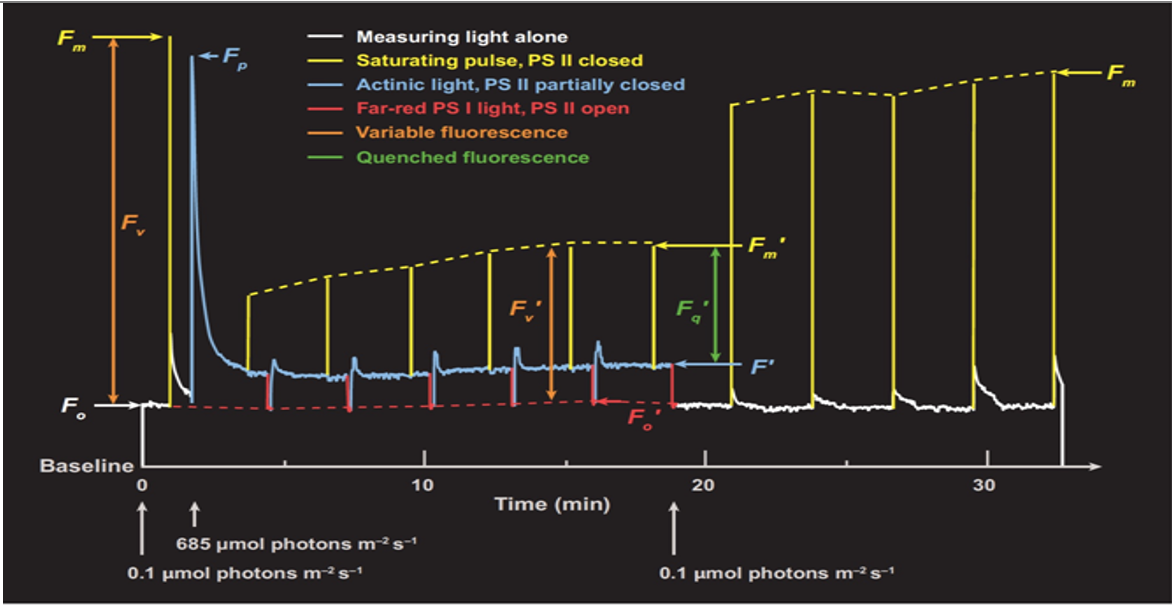 ΢ÐŽØÍ¼_20220610173336.png ΢ÐŽØÍ¼_20220610173336.png