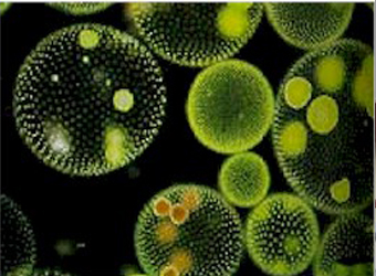 ��������о���ȫ����ƻ���һ��