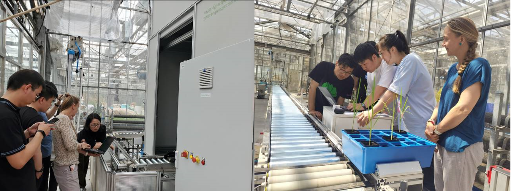 ΢ÐŽØÍ¼_20230605174602.png ΢ÐŽØÍ¼_20230605174602.png