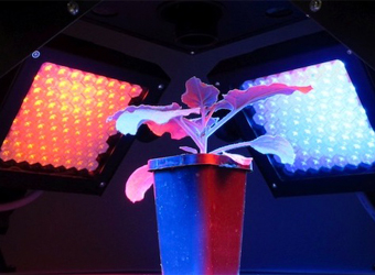 FluorCam�ƶ�ʽֲ������ӫ�����ϵͳ